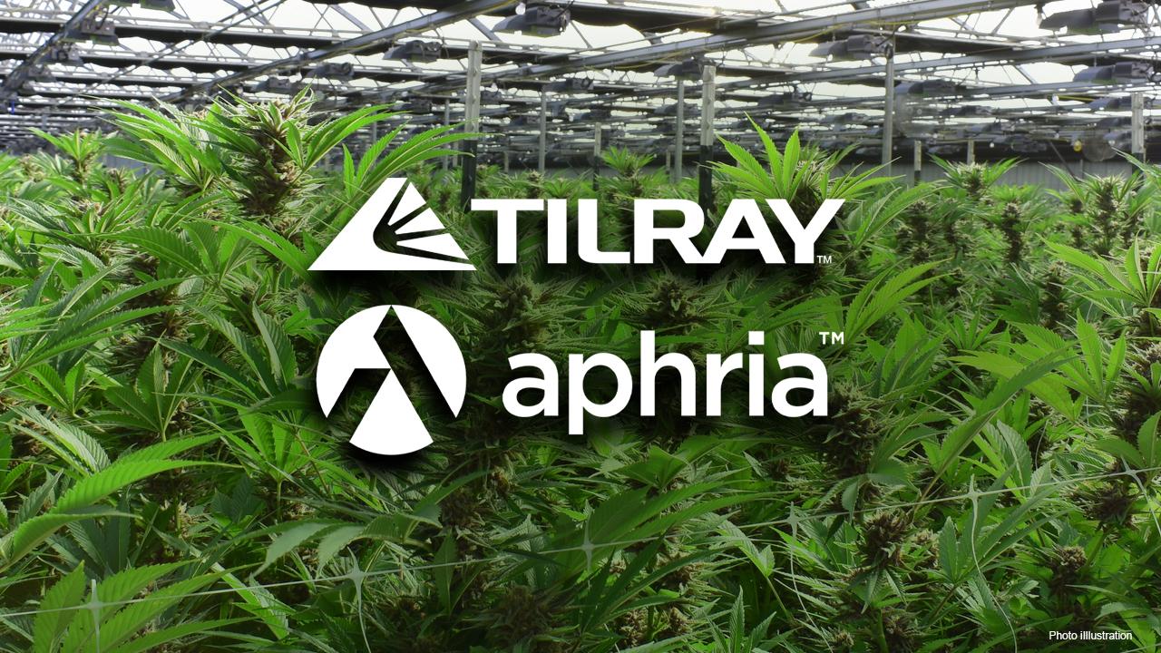 Cổ phiếu nổi bật trong tuần: Tilray -  Công ty top đầu ngành kinh doanh cần sa