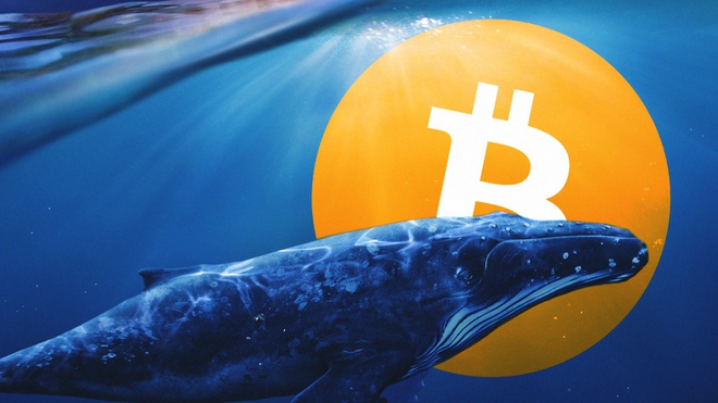 'Cá voi' tiếp tục bắt đáy Bitcoin
