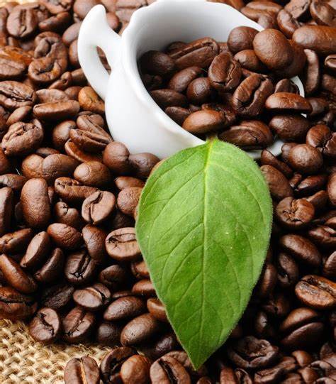 Tình hình chiến sự tại Ukraine gây tác động lớn lên thị trường cà phê trên thế giới