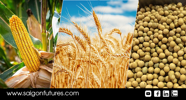 Đàm phán Nga - Ukraine tiến triển tích cực, giá nông sản giảm điểm