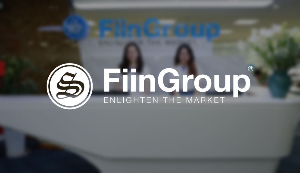 Fiin Group tuyển dụng Business Financial Analyst
