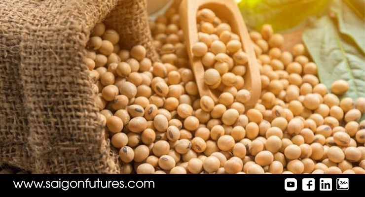 Nguồn cung do Ấn Độ tạm ngưng, giá nhóm đậu tương tiếp tục tăng mạnh
