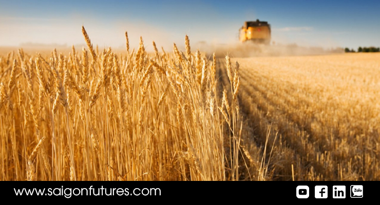 Đàm phán xuất khẩu ngũ cốc của Ukraine lâm vào bế tắc