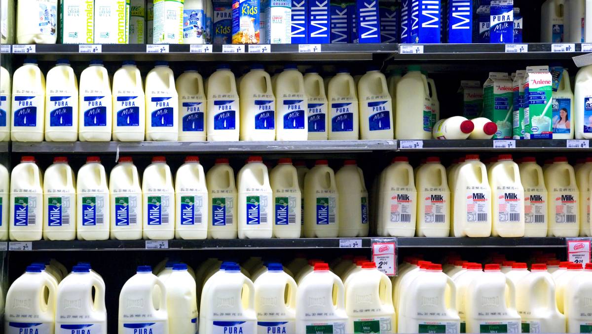 Giá Sữa tăng chưa phản ánh hết vào đồng New Zealand Dollar 