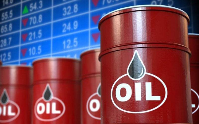Yếu tố nào đã khiến dầu thô WTI tăng lên mức cao nhất trong 11 tháng? 