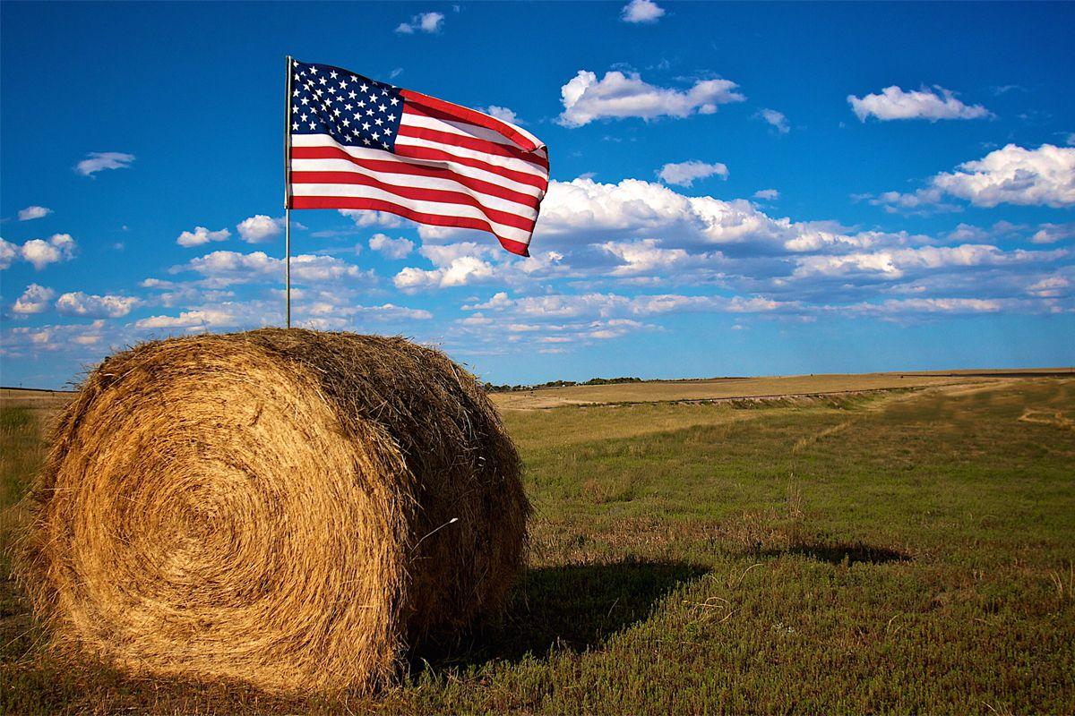 Công bố Non-Farm cuối cùng trước cuộc bầu cử Mỹ: Thị trường mong đợi gì?