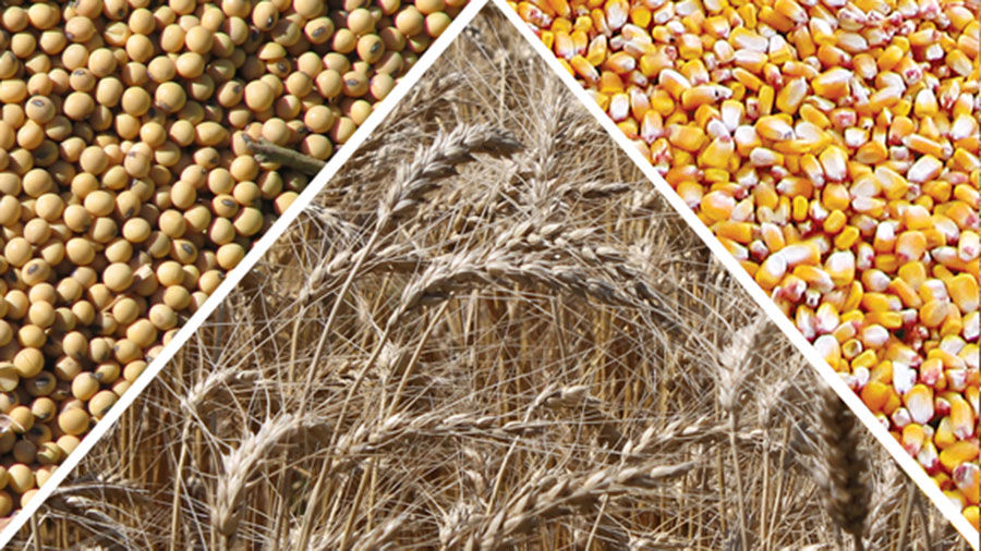 Politics grips soybeans, wheat helps corn futures | Crop | agupdate.com