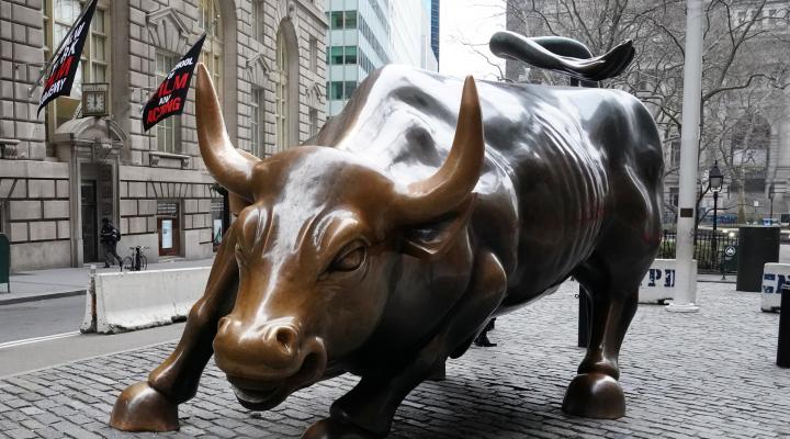 “Những chú bò” trên thị trường chứng khoán không thể kiềm chế sự hưng phấn