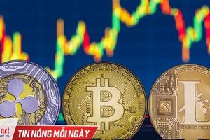 Chờ đợi những tín hiệu nào của Bitcoin trong tháng 7?
