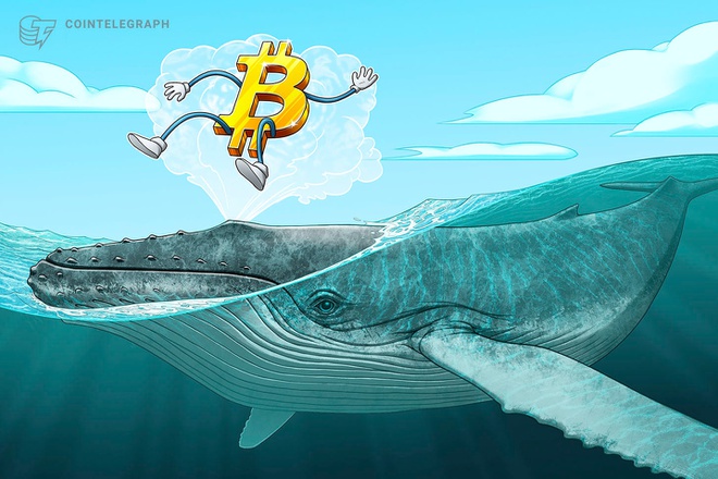 "Cá voi" tiếp tục bơm tiền vào Bitcoin