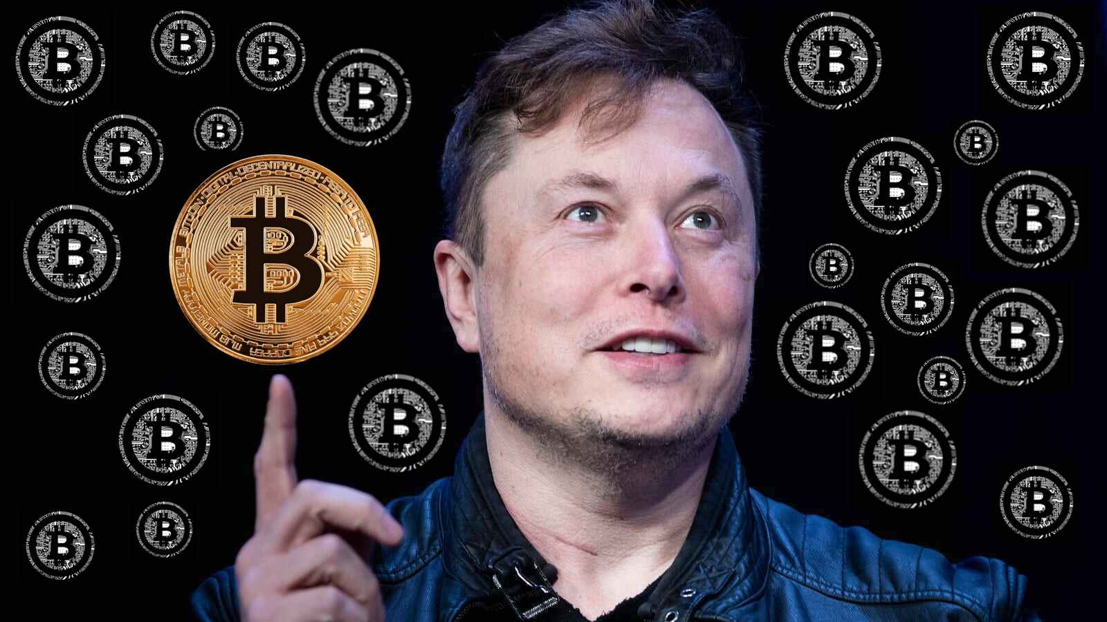 Có Elon Musk hay không thì Bitcoin sẽ vẫn đẩy lên mức cao kỷ lục mới mà thôi