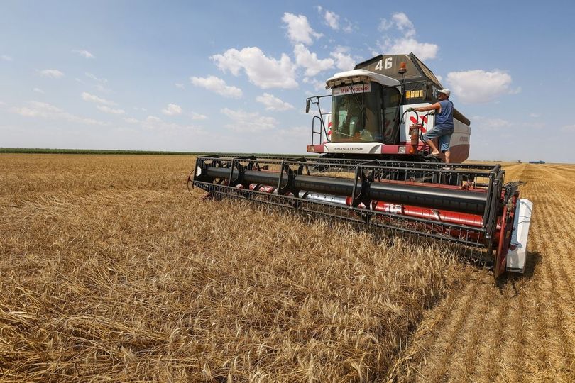 Nga sẽ tăng thuế xuất khẩu lúa mì nếu giá tăng