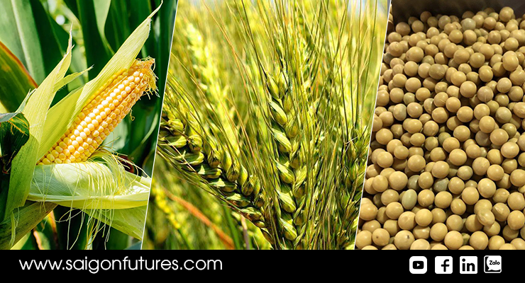 Giá nông sản đi ngang trong ngày công bố báo cáo Triển vọng Cây trồng