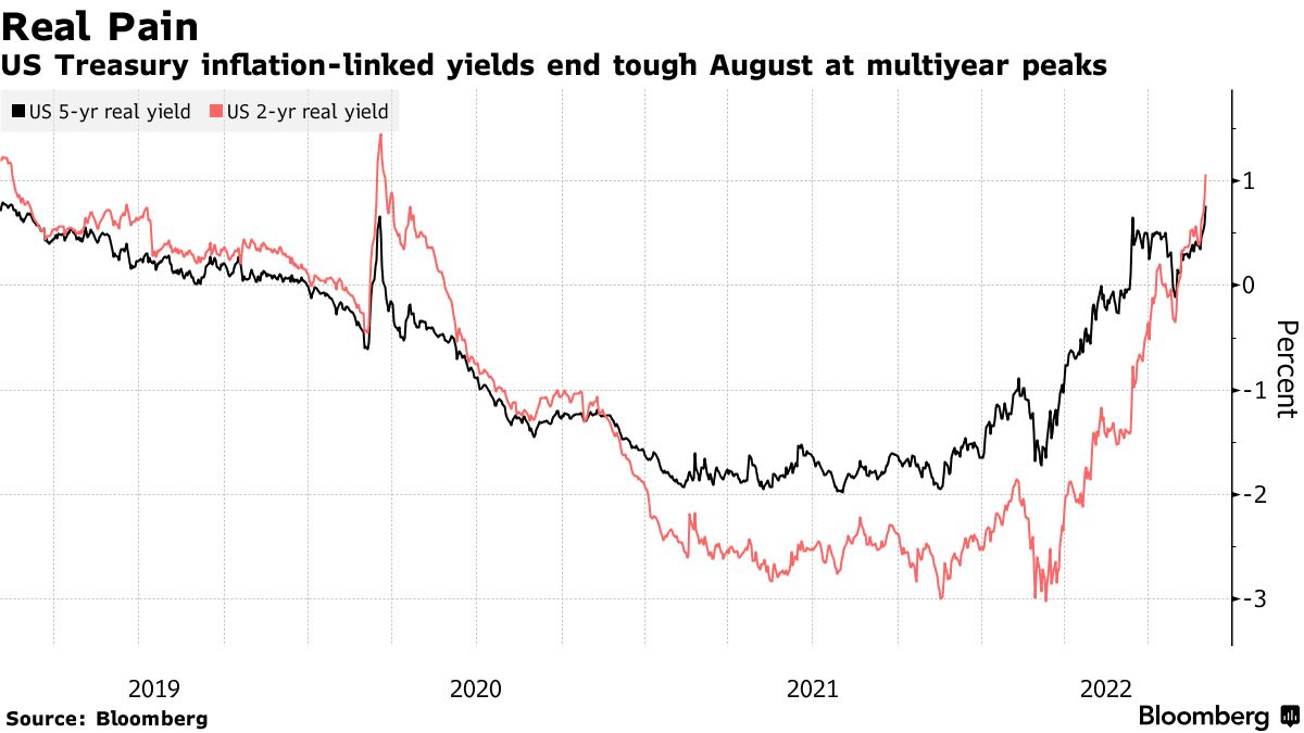 US Treasury inflation-linked yields end tough August at multiyear peaks