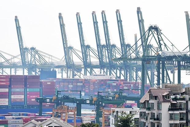 Singapore's non-oil domestic exports expand by 7% in July hinh anh 1
