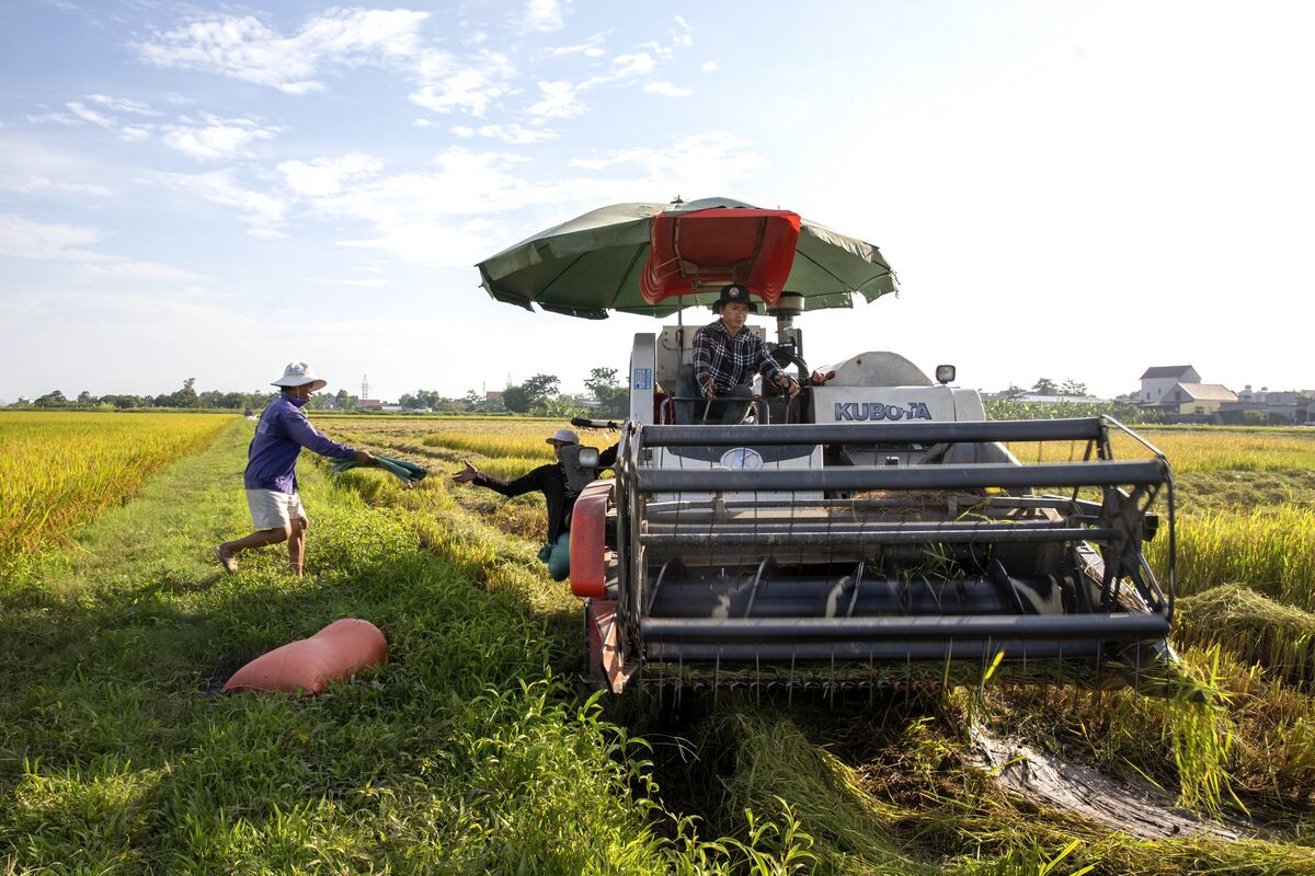 Việt Nam yêu cầu đảm bảo an ninh lương thực, tăng cường nguồn cung gạo
