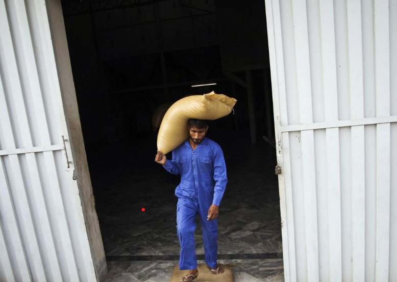 Ấn Độ hạn chế xuất khẩu tất cả mặt hàng gạo trước nguồn cung thắt chặt