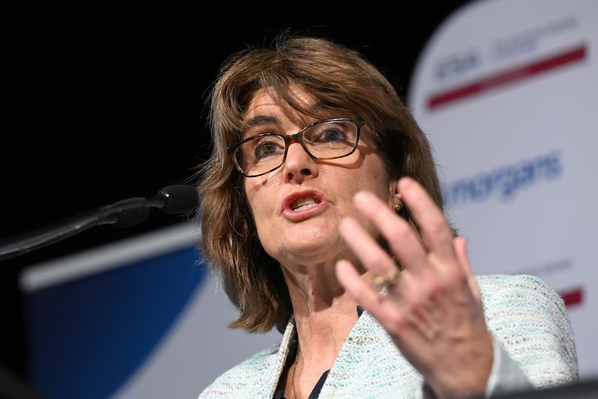 RBA governor Michele Bullock says central bank now dealing with 'homegrown'  inflation challenge, and questions government's housing target - ABC News