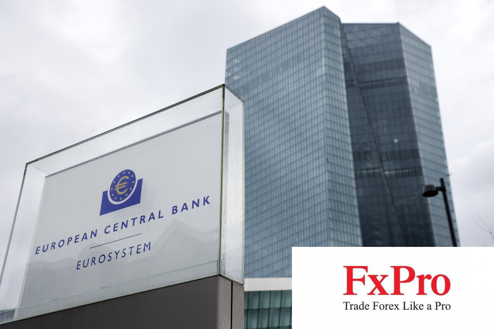 Khảo sát: ECB không nên quá vội cắt giảm lãi suất